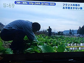 たむそん農園