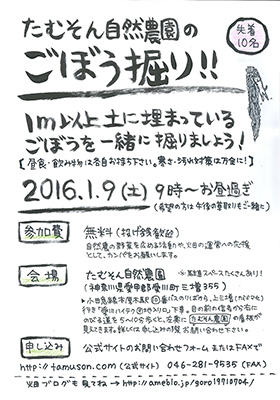 たむそん自然農園のごぼう堀り！！